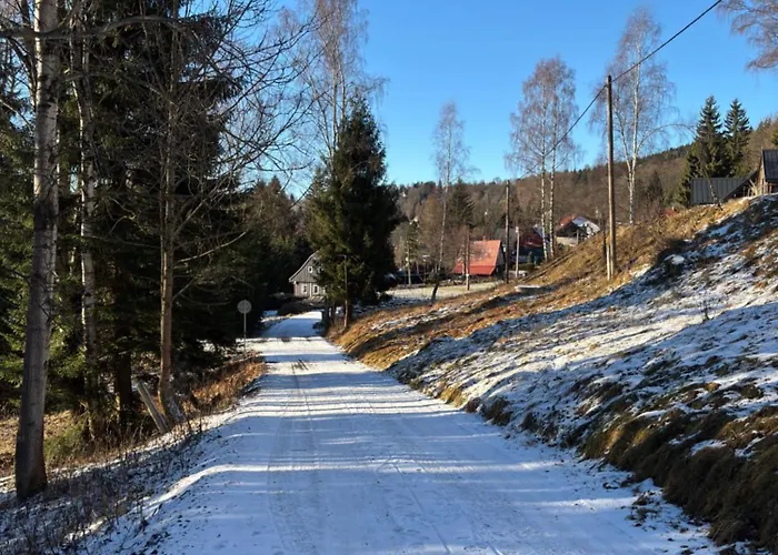 Polubny *